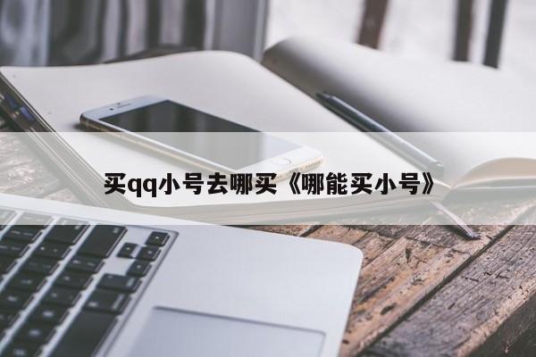 买qq小号去哪买《哪能买小号》