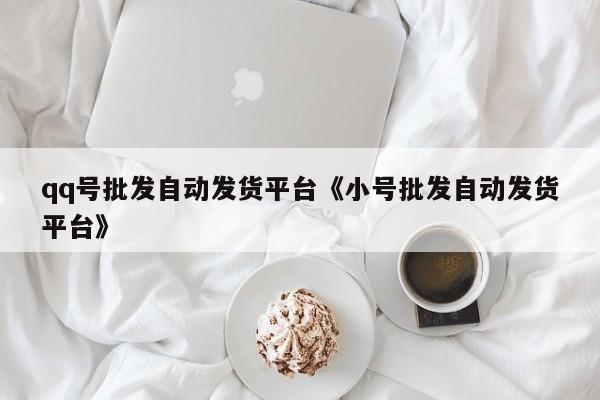 qq号批发自动发货平台《小号批发自动发货平台》